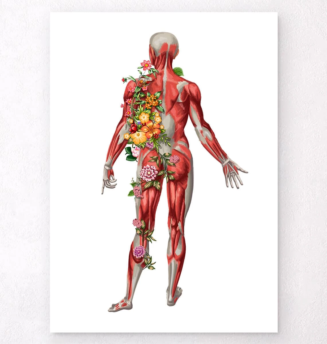 Muscular System, Back - Floral - White 3 Muscular System, Back - Floral - White