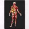 Muscular System, Back - Floral - Black -Codex Anatomicus Shop LPA770