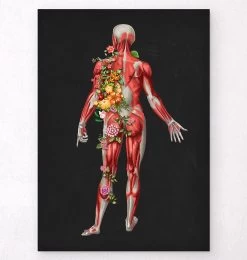 Muscular System, Back - Floral - Black