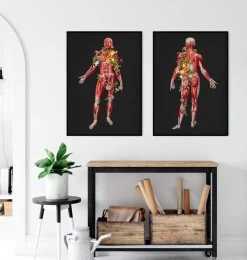 Muscular System, Back - Floral - Black -Codex Anatomicus Shop LPA770 3