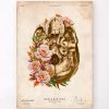 Skull Anatomy V - Floral - Vintage -Codex Anatomicus Shop LPA778