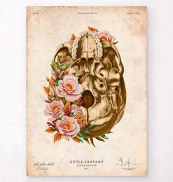 Skull Anatomy V - Floral - Vintage