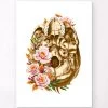 Skull Anatomy V - Floral - White 2 Skull Anatomy V - Floral - White -Codex Anatomicus Shop LPA779