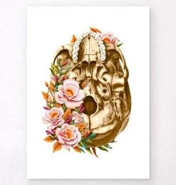 Skull Anatomy V - Floral - White