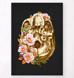 Skull Anatomy V - Floral - Black