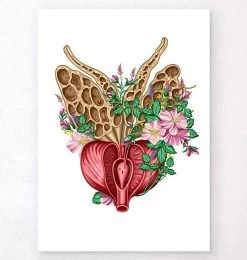 Prostate Anatomy - Floral - White