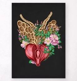 Prostate Anatomy - Floral - Black