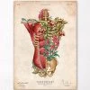 Torso Muscles & Bones - Floral - Vintage -Codex Anatomicus Shop LPA784