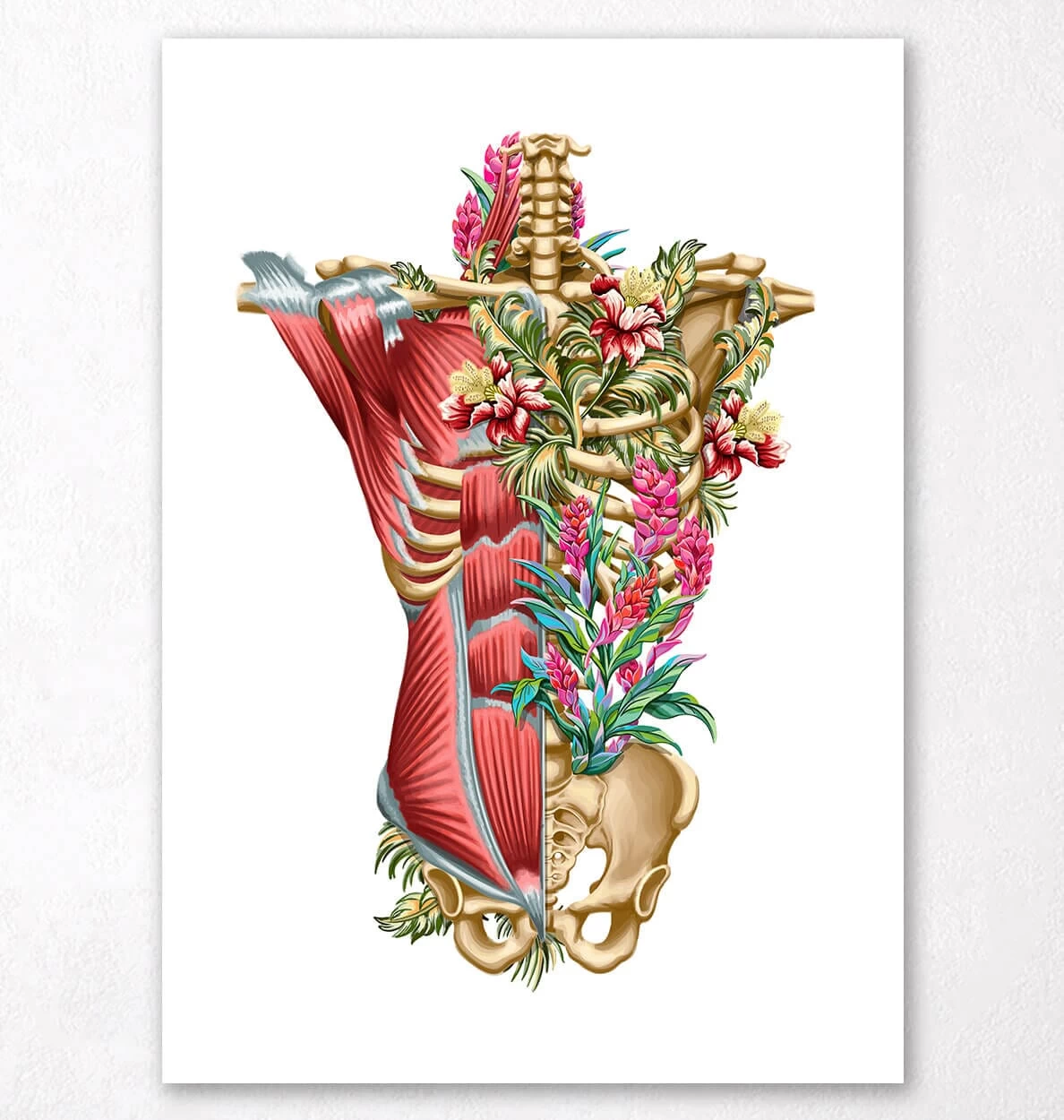 Torso Muscles & Bones - Floral - White 3 Torso Muscles & Bones - Floral - White
