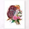 Placenta Anatomy - Floral - White