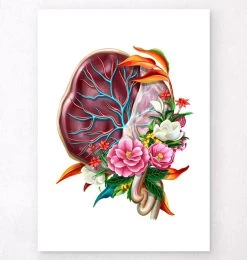Placenta Anatomy - Floral - White