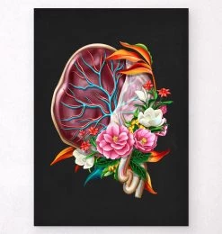 Placenta Anatomy - Floral - Black