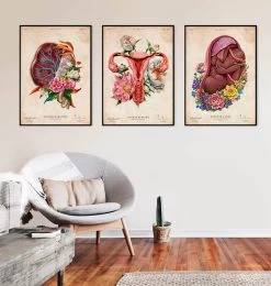 Placenta Anatomy - Floral - Vintage -Codex Anatomicus Shop LPA789 3