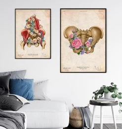 Female Pelvis Anatomy - Floral - Vintage 7 Female Pelvis Anatomy - Floral - Vintage -Codex Anatomicus Shop LPA790 3
