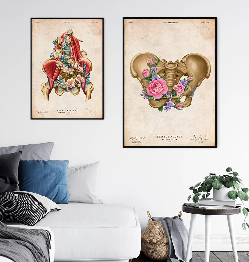 Female Pelvis Anatomy - Floral - Vintage 5 Female Pelvis Anatomy - Floral - Vintage - Image 3