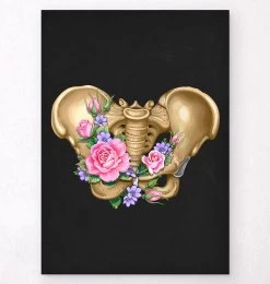 Female Pelvis Anatomy - Floral - Black
