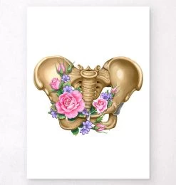 Female Pelvis Anatomy - Floral - White