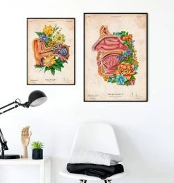 Nasal Cavity - Floral - Vintage -Codex Anatomicus Shop LPA796 3