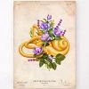 Vestibular System - Floral - Vintage -Codex Anatomicus Shop LPA799