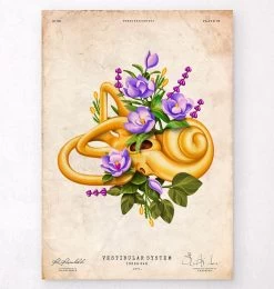 Vestibular System - Floral - Vintage