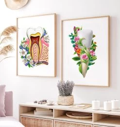 Tooth Anatomy III - Floral - White 7 Tooth Anatomy III - Floral - White -Codex Anatomicus Shop LPA803 3