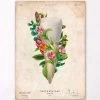 Tooth Anatomy III - Floral - Vintage -Codex Anatomicus Shop LPA804