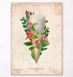 Tooth Anatomy III - Floral - Vintage