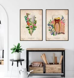 Tooth Anatomy III - Floral - Vintage -Codex Anatomicus Shop LPA804 3