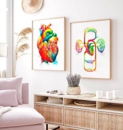 Cardiovascular System - Watercolor Splash -Codex Anatomicus Shop LPA805 2