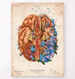 Dementia - Floral - Vintage