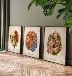Dementia - Floral - Vintage 7 Dementia - Floral - Vintage -Codex Anatomicus Shop LPA806 3