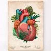 Heart Anatomy V - Floral - Vintage -Codex Anatomicus Shop LPA809
