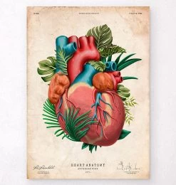 Heart Anatomy V - Floral - Vintage
