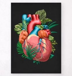 Heart Anatomy V - Floral - Black
