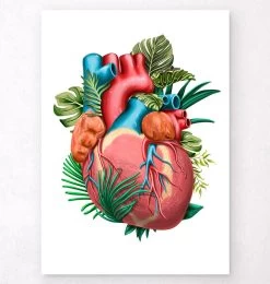 Heart Anatomy V - Floral - White