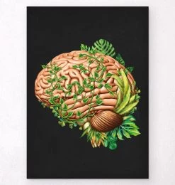 Brain Anatomy IV - Floral - Black