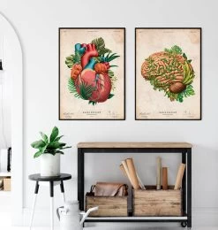 Brain Anatomy IV - Floral - Vintage -Codex Anatomicus Shop LPA817 3