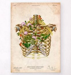 Intercostal Nerves - Floral - Vintage