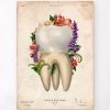 Tooth Anatomy IV - Floral - Vintage -Codex Anatomicus Shop LPA821