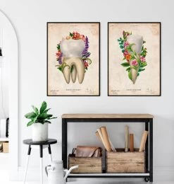 Tooth Anatomy IV - Floral - Vintage -Codex Anatomicus Shop LPA821 3