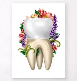 Tooth Anatomy IV - Floral - White