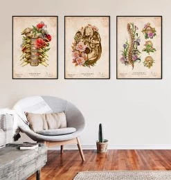 Cervical Nerves - Floral - Vintage -Codex Anatomicus Shop LPA824 2