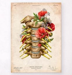 Cervical Nerves - Floral - Vintage