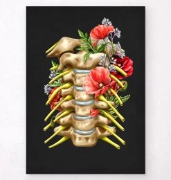 Cervical Nerves - Floral - Black