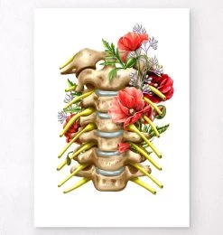 Cervical Nerves - Floral - White