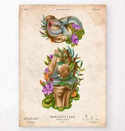 Meniscus Tear Anatomy - Floral - Vintage