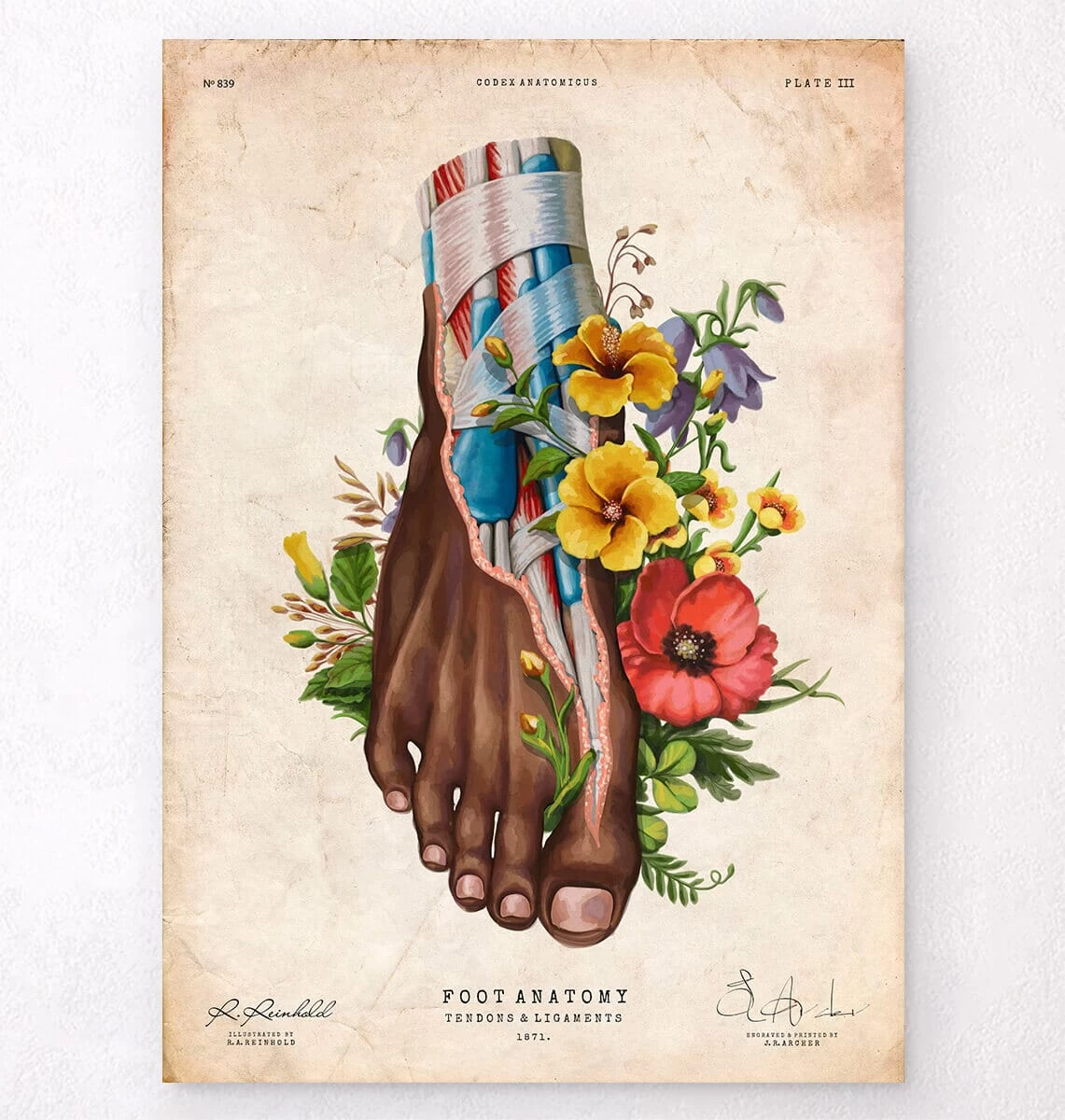 Foot Anatomy II - Floral - Vintage 3 Foot Anatomy II - Floral - Vintage