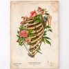 Rib Fracture - Floral - Vintage 1 Rib Fracture - Floral - Vintage -Codex Anatomicus Shop LPA847