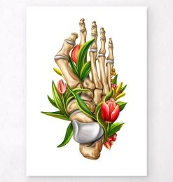 Bunion Anatomy - Floral - White