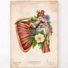 Rotator Cuff Tear - Floral - Vintage -Codex Anatomicus Shop LPA857